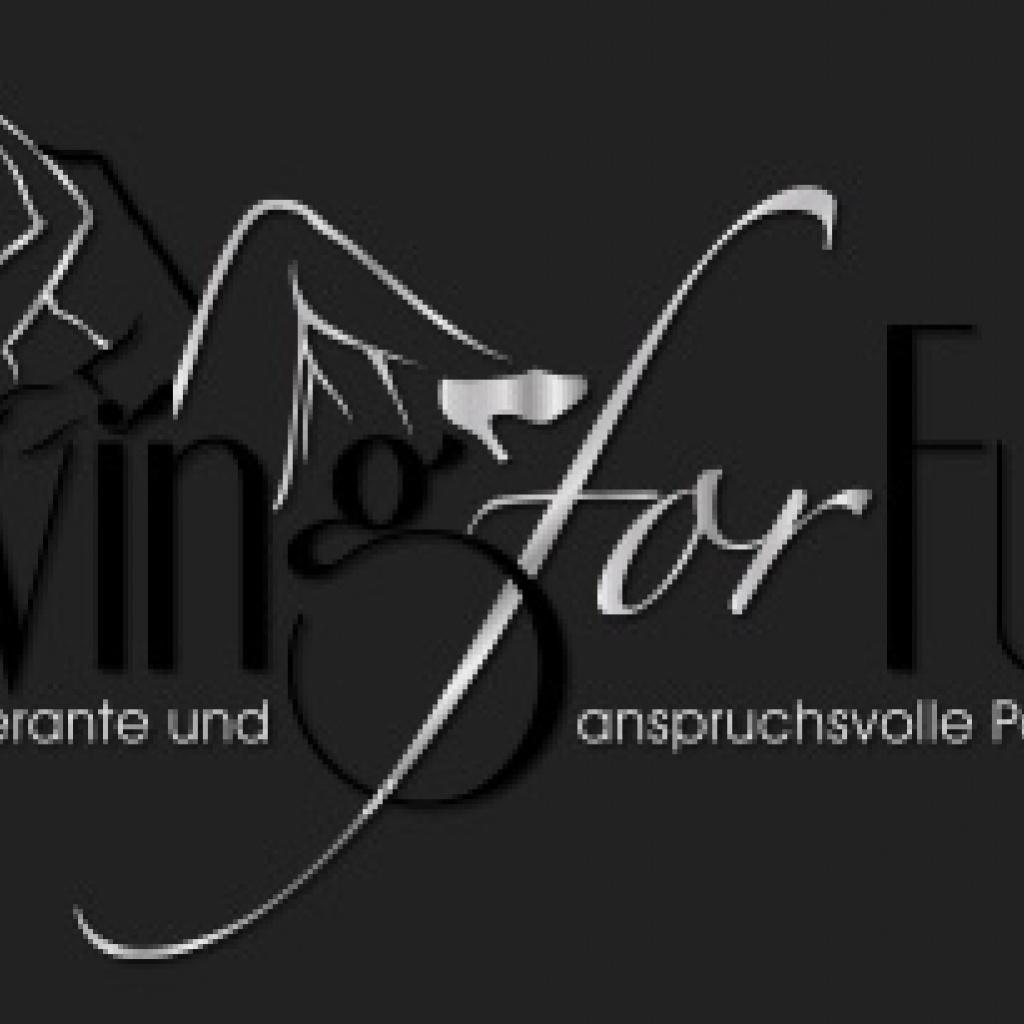 Swing for Fun - Pfaffenhofen a.d. Ilm