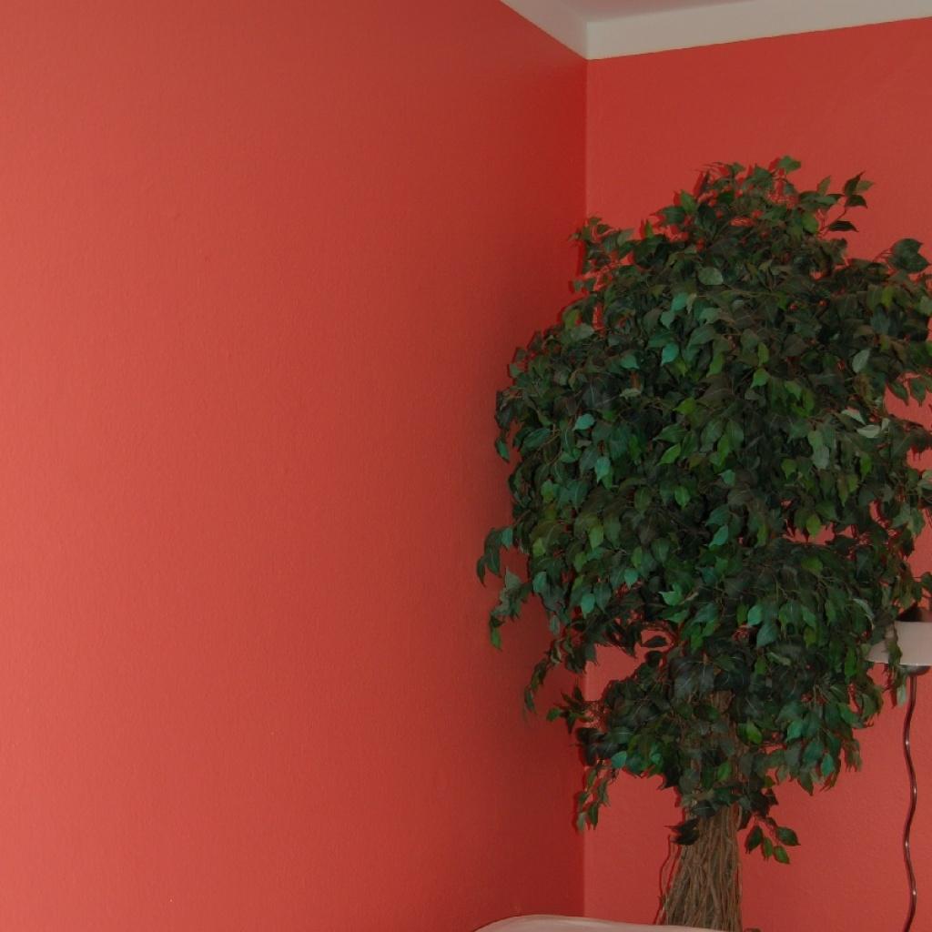 Studio Belin - wissen_5