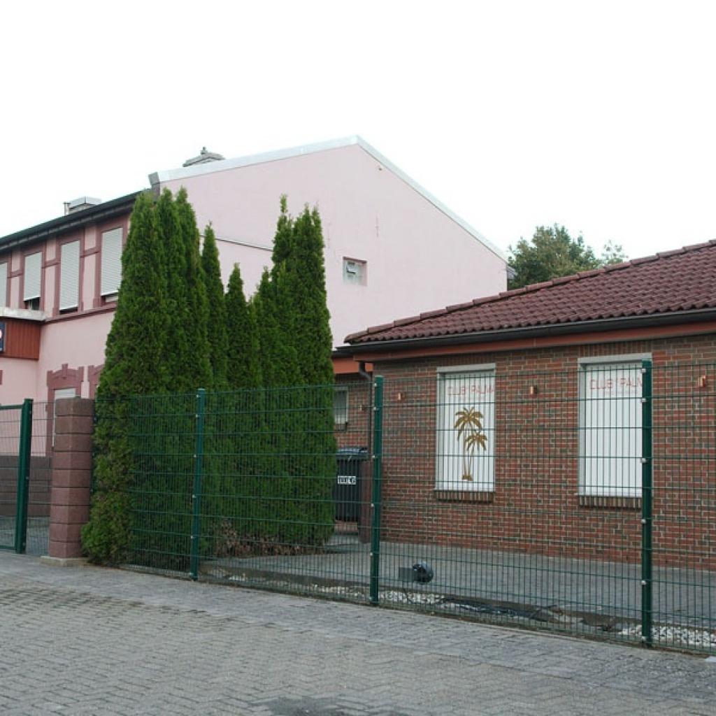 Club Palma - null_3