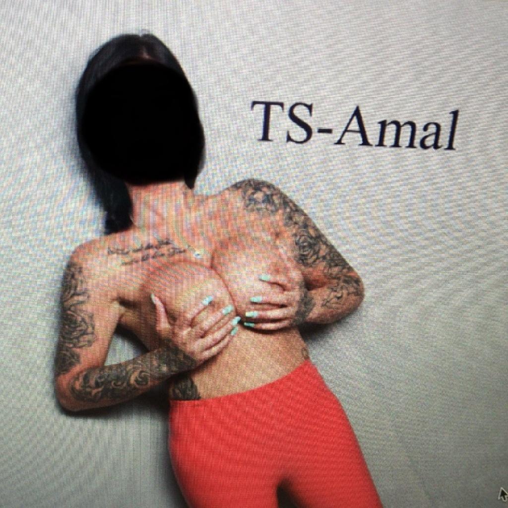 Trans Amal - Dortmund