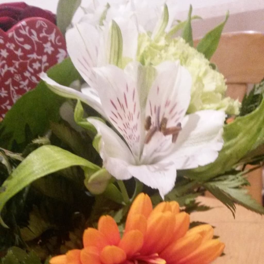 Additional image Sunny