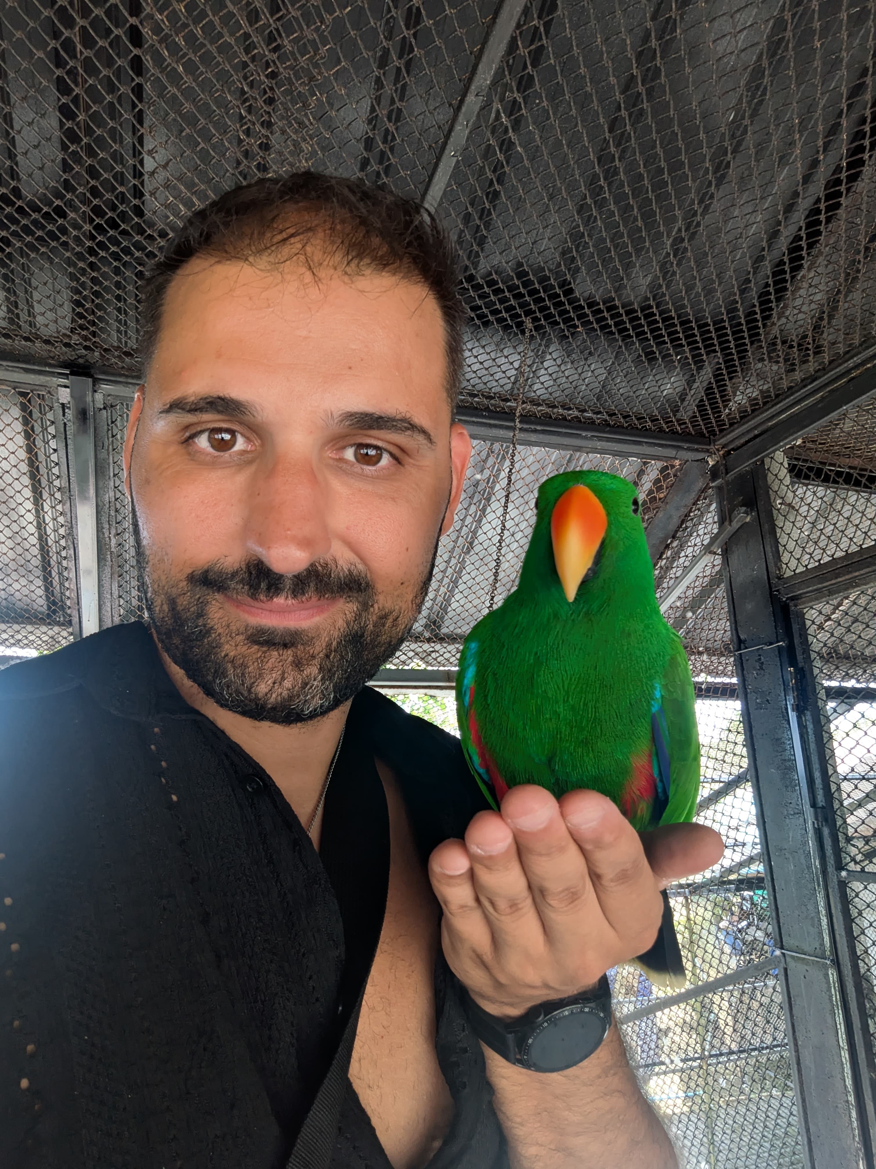 Additional image Gentleman Escort für Frauen